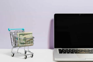 Storeless: The Future of E-Commerce